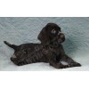 Племенной щенок кобель №5 породы дратхаар
