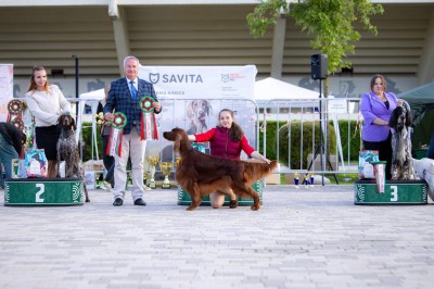 ОХОТЭСТЕТ АЛЕИТ (ALEIT)