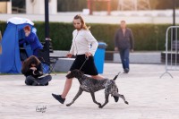 Ohotestet Aleit (Охотэстет Алеит)