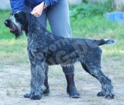 Zhemchuzhina vom Efeus Hof (Жемчужина вом Эфеус Хоф)