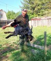 Дрессировка собак в питомнике Hunting-dog