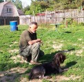 Дрессировка собак в питомнике Hunting-dog