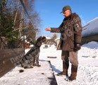 Дрессировка собак в питомнике Hunting-dog