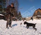 Дрессировка собак в питомнике Hunting-dog