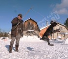 Дрессировка собак в питомнике Hunting-dog